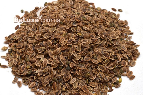 Адрес кракен в тор