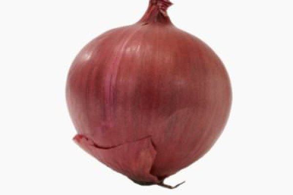 Kraken onion